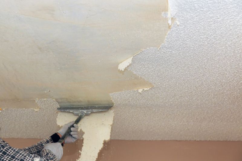 Textured Ceiling Repair detail